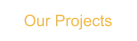 Our Projects